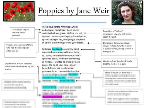 LEVEL 9 Poppies poem annotations, analysis and context sheet | Teaching Resources