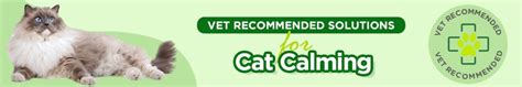 Cat Calming: Understanding Feline Anxiety and Effective Solutions | Budget Pet Products