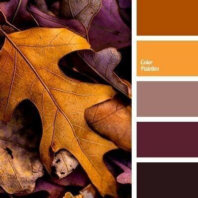 Ten Fall Color Combinations - County Road 407