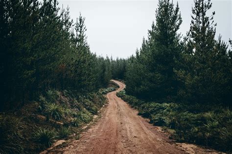 Dirt Road · Free Stock Photo