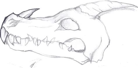 Dragon's skull by ChibiRhapsodos on DeviantArt