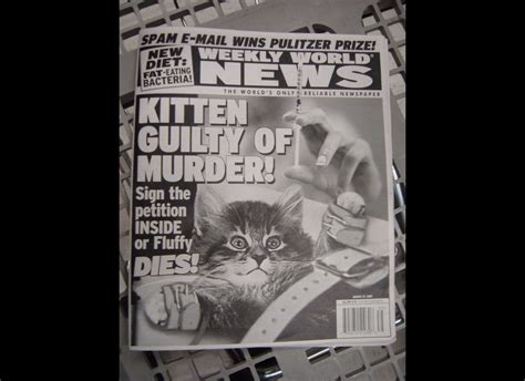 The 9 Most Ridiculous Tabloid Headlines (About Cats) | HuffPost ...