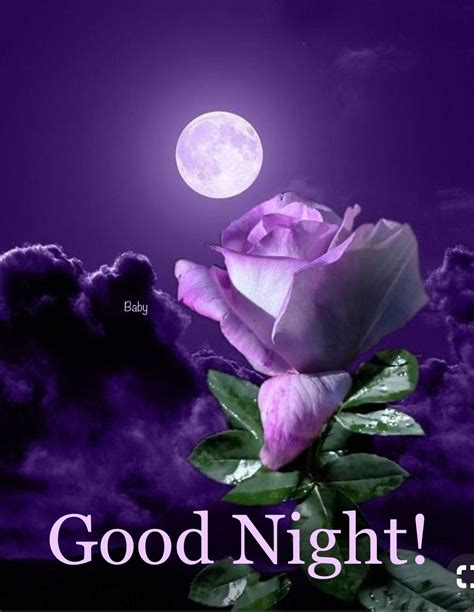 Good Night! | Beautiful flowers wallpapers, Moon flower, Beautiful roses