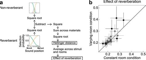 Size of reverberation effect. (a) Schematic to show how the ...