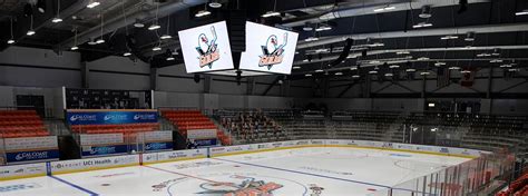 Anaheim Ducks Announce 2022 Development Camp Roster | San Diego Gulls