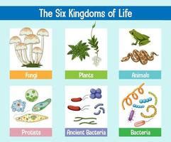 Science poster of six kingdoms of life 2111913 Vector Art at Vecteezy