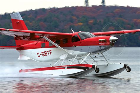 Daher Kodiak 100: Stylish versatility - Skies Mag