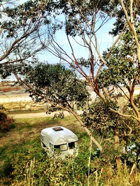 My favourite campsite | Point Leo campground. Beachfront. | Flickr