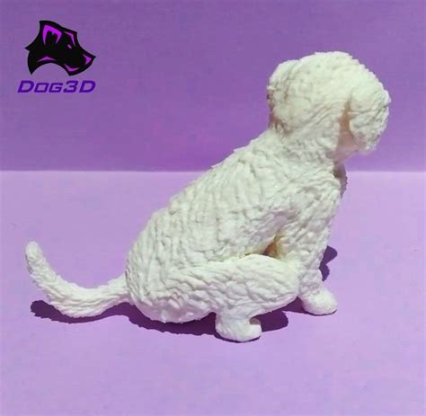 Maltese dog - 3D printable 3D model 3D printable | CGTrader