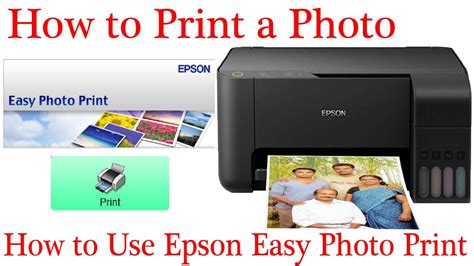 Easy Photo Print Epson Free Download at Ronald Hughs blog