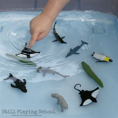 Water Play: Sorting Land and Water Animals | Still Playing School