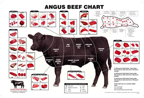 The Anatomy of Steak Cuts Explained in Two Minutes Beef Cuts Diagram, Meat Cuts Chart, Carne ...