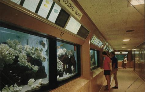 Scripps Institution of Oceanography La Jolla, CA Postcard