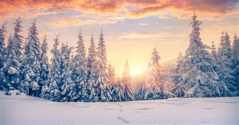 Winter Solstice Traditions: 19 Rituals To Help You Celebrate