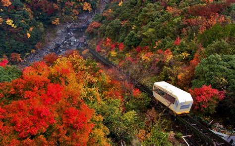 10 Places to Experience the Best of Autumn in Japan in 2019 - GaijinPot