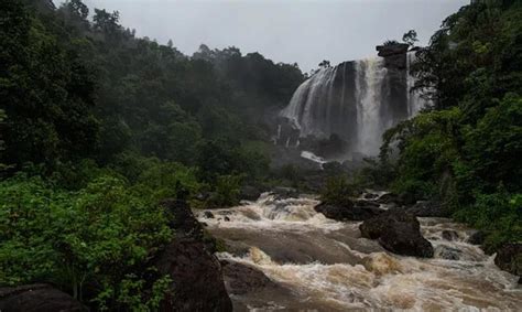 15 Best Waterfalls in Munnar - 2024 (with Photos & Reviews)