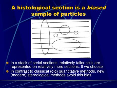 PPT - Introduction to basic concepts and methods of modern stereology ...