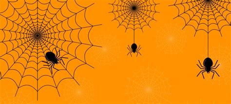 A Spooky Yet Spectacular Halloween Spider | Fantastic Pest Control