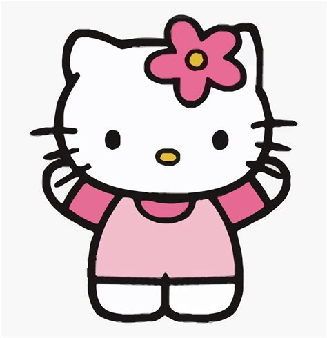 a hello kitty with a pink shirt and flower in her hair