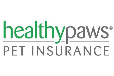 Pets Best vs. Healthy Paws: Which Should You Choose?