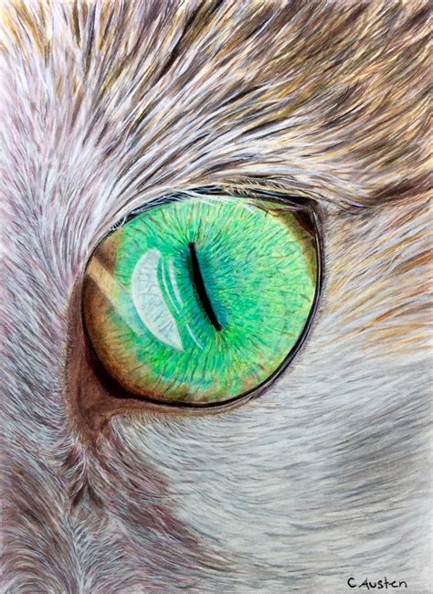 Cat's Eye: Coloured pencil and some gouache on the fur. 6 x 8 Reference photo thanks to Skeeze ...