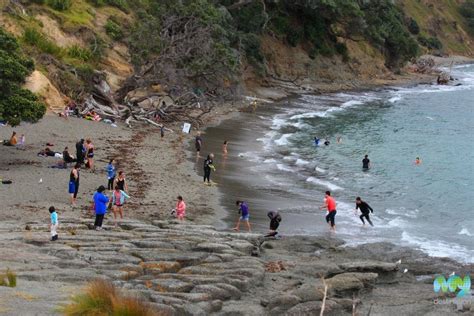 Goat Island Marine Reserve in Auckland | My Guide Auckland