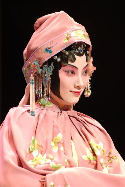 cantonese opera 白先勇青春版《牡丹亭》演出杜麗娘的沈豐英 | Beijing opera, Chinese folk art, Chinese culture art