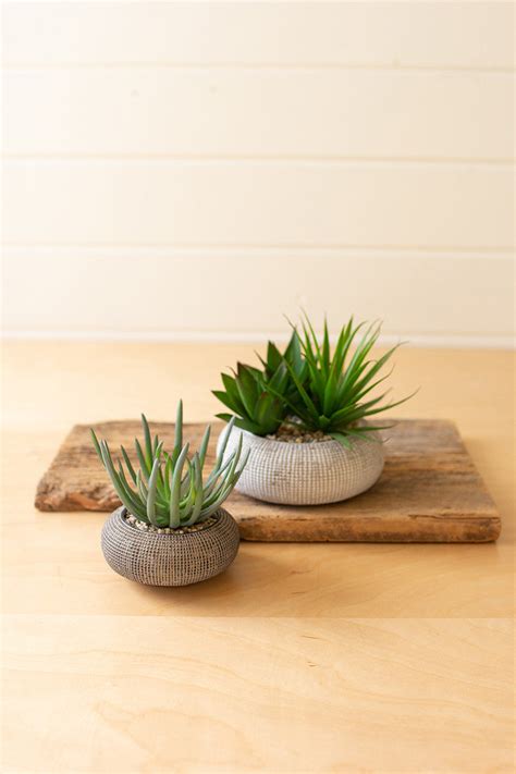 Succulents In Concrete Pots Set Of 2 By Kalalou - Green – Modish Store