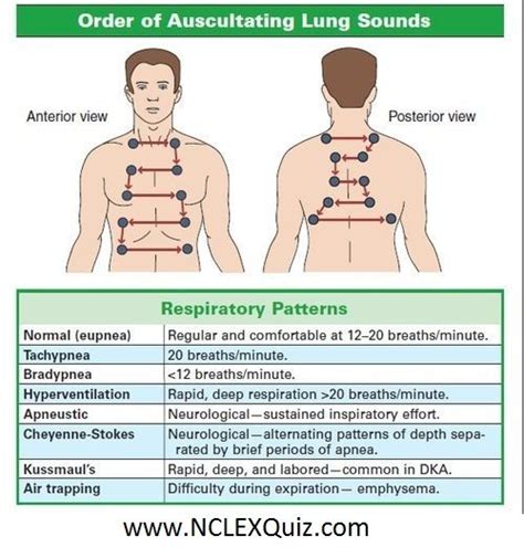 Lung sounds quiz - cfress