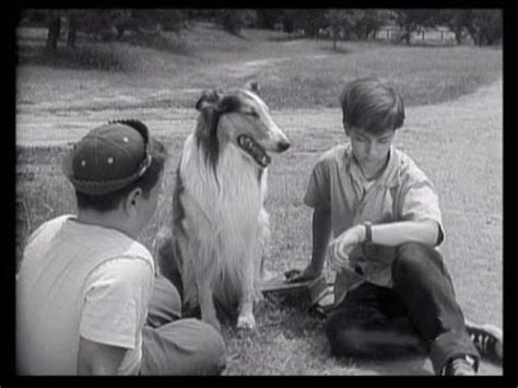 Lassie - Episode #70 - "The Watch" - Season 3, Ep. 5 - 10/7/1956 - YouTube