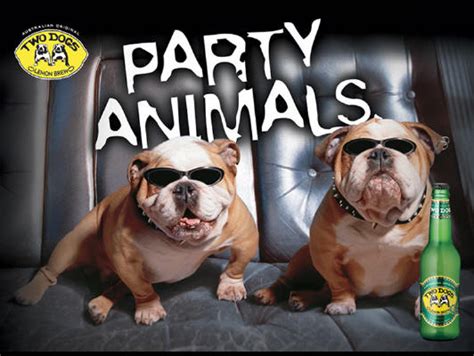 Animals Party | Photos 2012 | Funny And Cute Animals