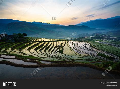 Terraced Rice Field Image & Photo (Free Trial) | Bigstock