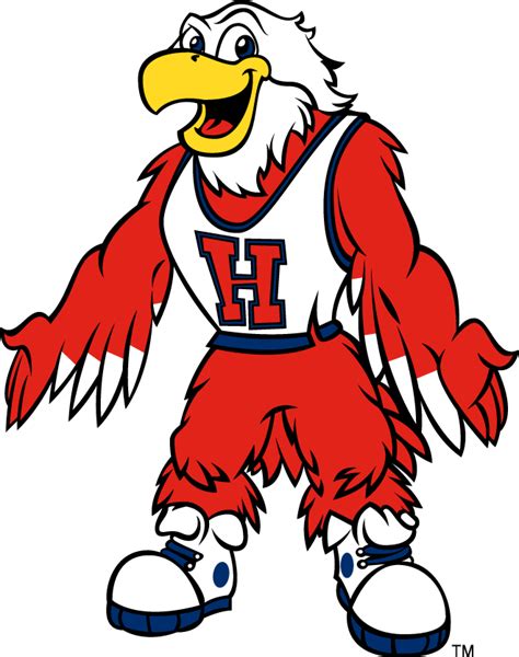 Hartford Hawks Mascot Logo - NCAA Division I (d-h) (NCAA d-h) - Chris ...