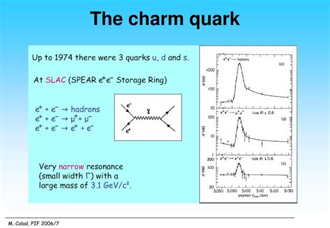 PPT - Quarks PowerPoint Presentation, free download - ID:5145763