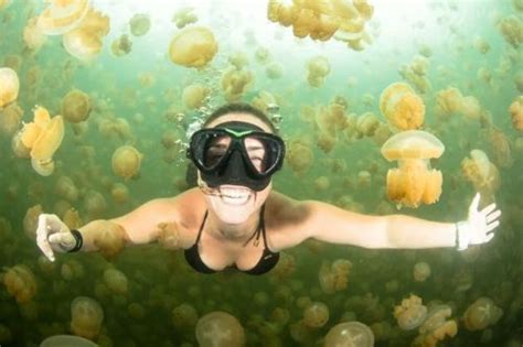 6 Interesting Facts About Jellyfish Lake in Palau