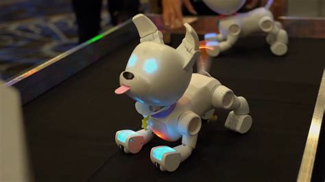 This Dog-E Robo Dog Is Just Like the Real Thing - YouTube