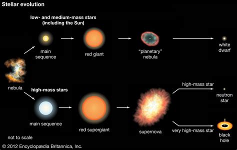 protostella - Cerca con Google | Star formation, Astronomy, Evolution