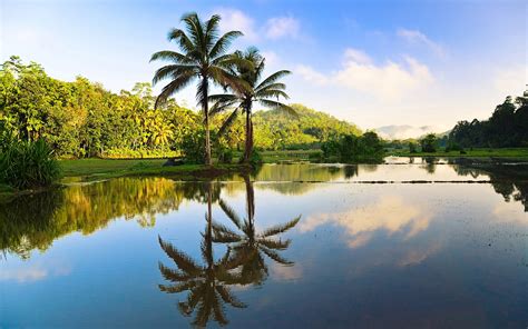 Sri Lanka beautiful nature, trees, palms, water reflection wallpaper ...