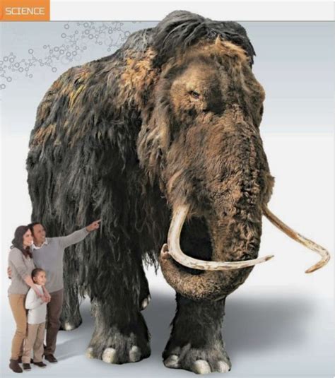 Size of a wooly mammoth in comparison with a modern human family ...