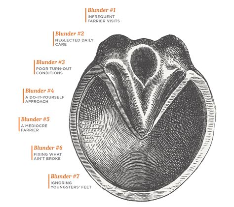 Seven Worst Mistakes in Equine Hoof Care