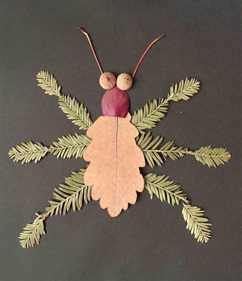 Insect Nature Craft Collage – Nature Crafts for Kids