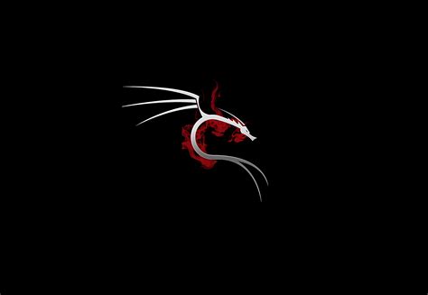 1366x768 Kali Linux 4k Laptop HD ,HD 4k Wallpapers,Images,Backgrounds ...