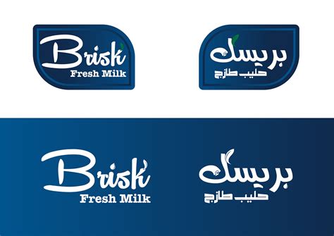 brisk logo presentation on Behance