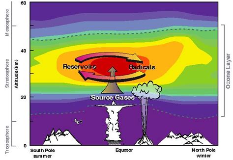 The Ozone Layer