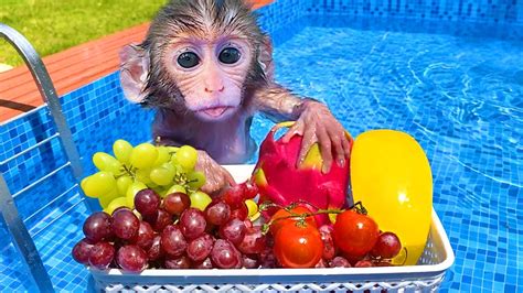 Baby monkey Bon Bon playing in the pool with puppy and eating fruits - YouTube