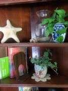 Books including coffee table decor, starfish, conch shell, Asian porcelains, more - Bid-Assets ...