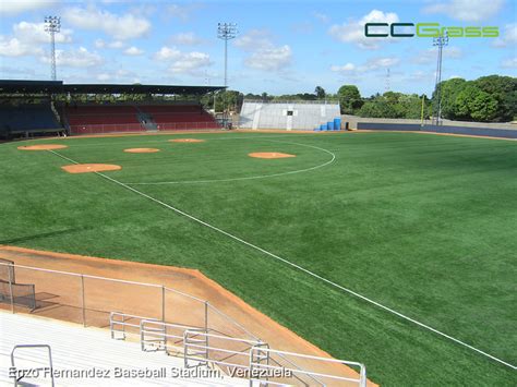 Artificial Turf Baseball Fields, Winning Choice - CCGrass