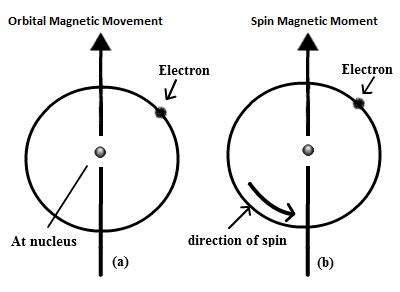 Spin magnetic moment | Physics Forums