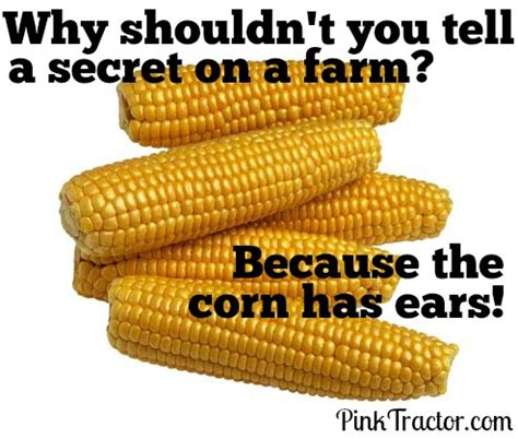 Sweet Corn Funny Quotes - ShortQuotes.cc