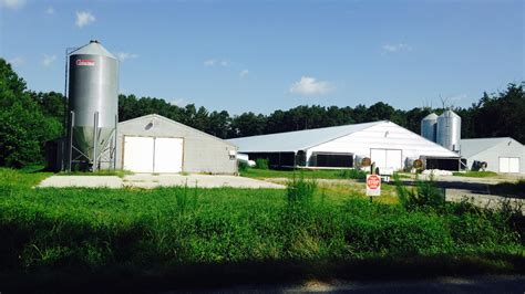 Poultry farm for sale delaware maryland - finalrusaq